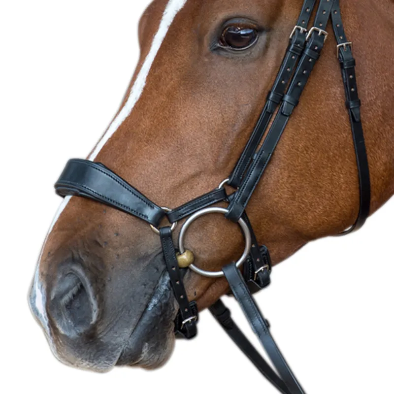 Fairfax Drop Noseband - Black