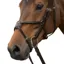 Fairfax Grackle Noseband - Brown