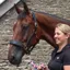 Fairfax Performance Rio Headcollar - Black