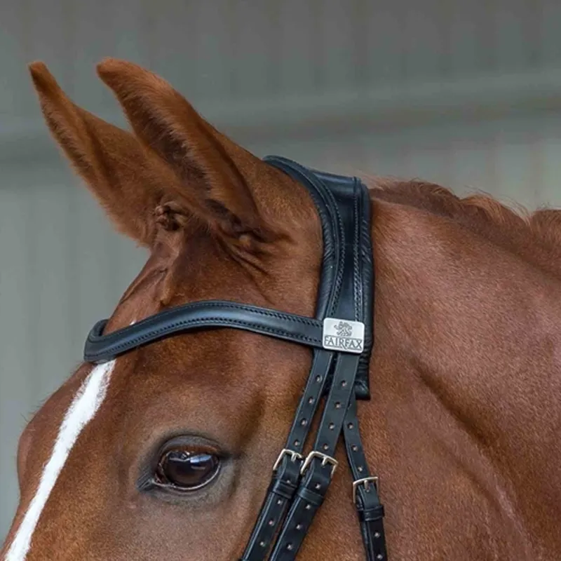 Fairfax Performance Snaffle Headpiece - Black