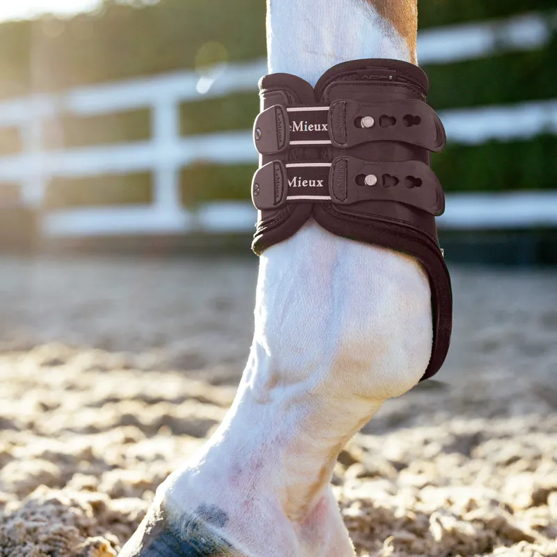 LeMieux EXO Flex Fetlock Boot - Brown/Gold