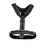 Sprenger Foal Harness - Black