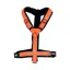 Sprenger Foal Harness - Orange