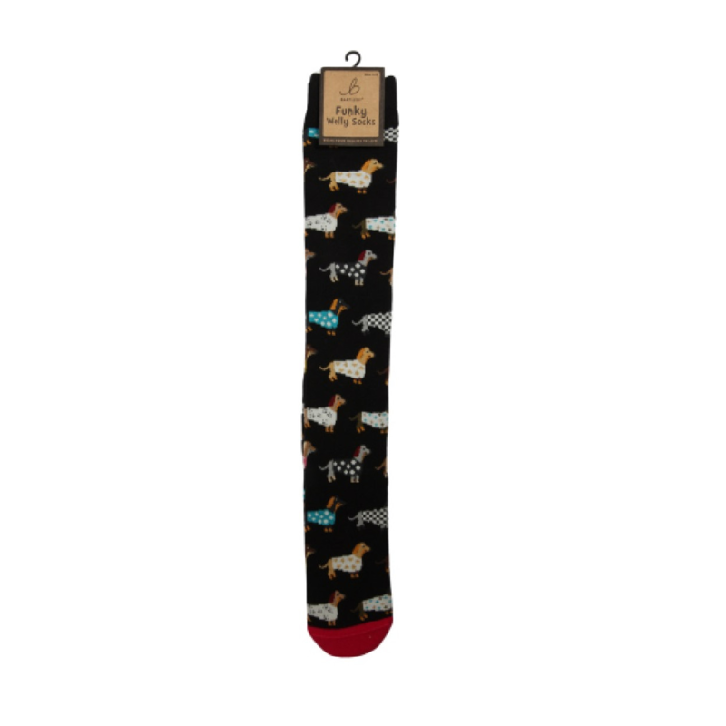 Bartleby Ladies Funky Welly Socks - Trendy Dachshund-1