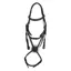 EcoRider Galway Grackle Bridle - Black