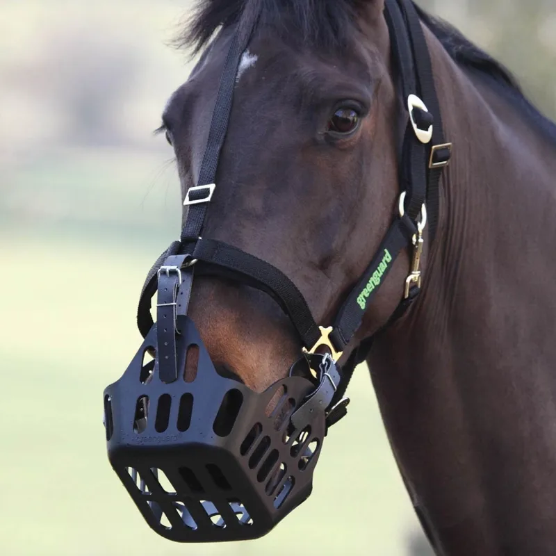 Greenguard grazing muzzles 2025