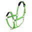 Topaz Nylon Headcollar - Green