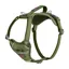 Halti Anatomy Harness - Green