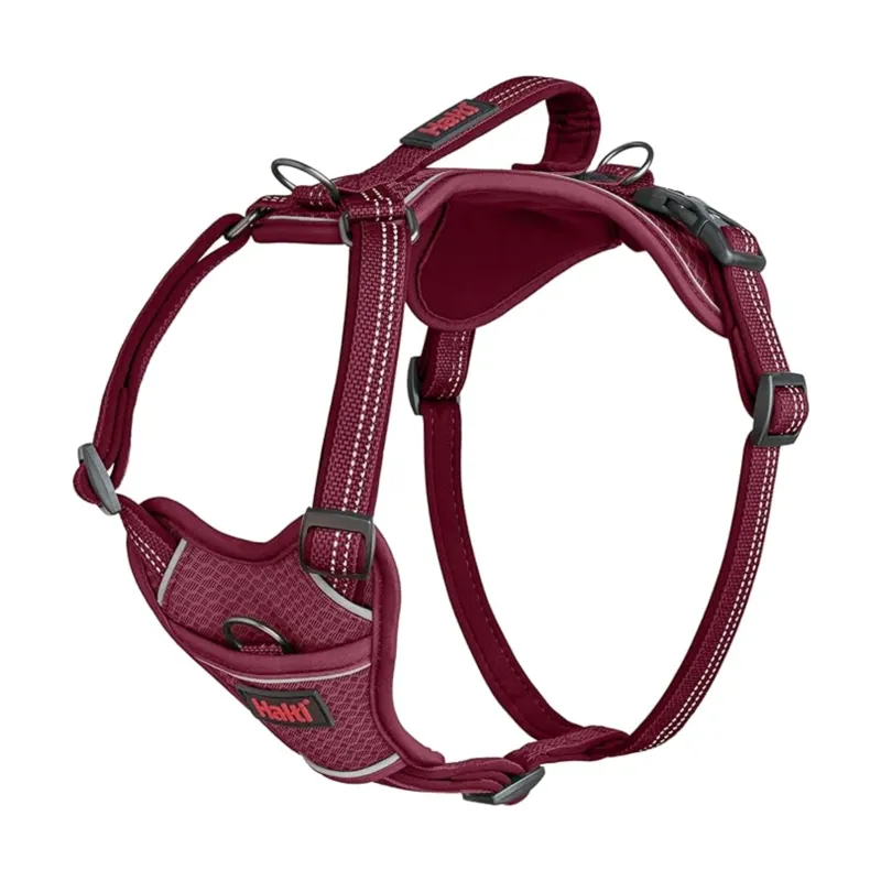 Halti Anatomy Harness - Magenta