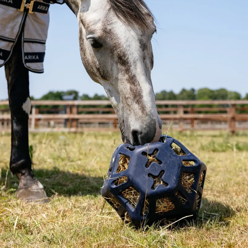 LeMieux Hay Ball - Navy-3