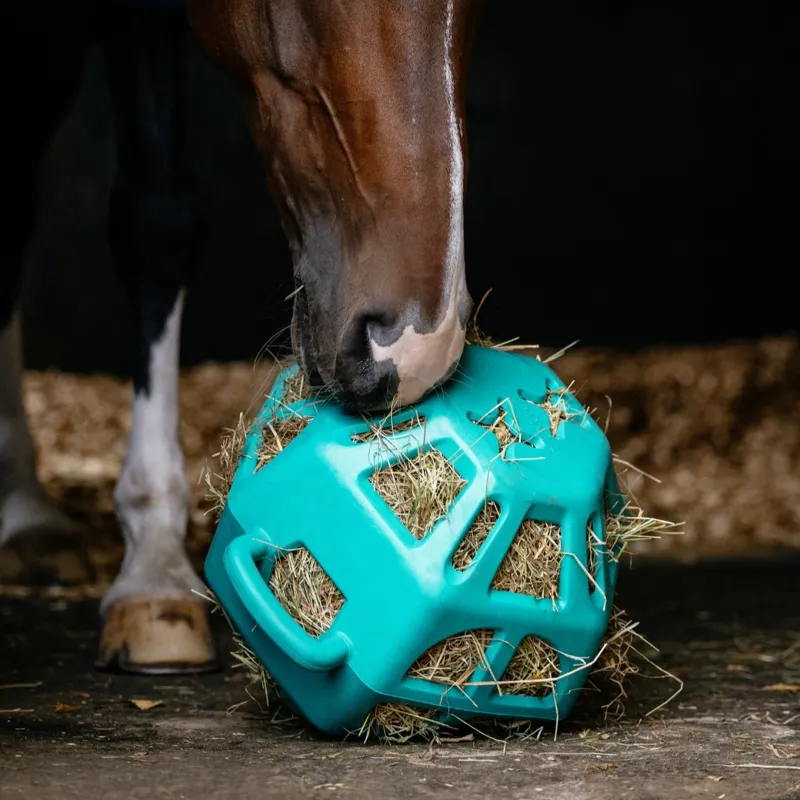 LeMieux Hay Ball - Lagoon-3