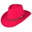 Heather Eden Crushable Wool Felt Hat Crimson