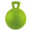 Horsemens Pride Scented Jolly Ball - Apple