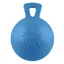 Horsemens Pride Scented Jolly Ball - Blueberry