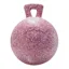Horsemens Pride Scented Jolly Ball - Peppermint