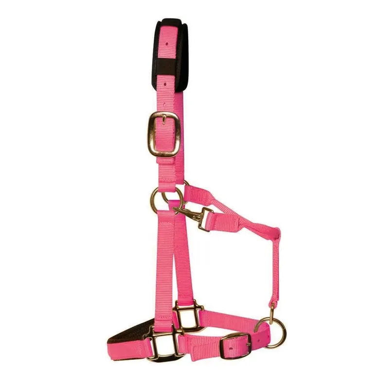 KM Elite Padded Headcollar - Hot Pink