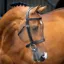Lusso Hunter Cavesson Bridle - Black