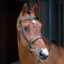 Lusso Hunter Cavesson Bridle - Havana