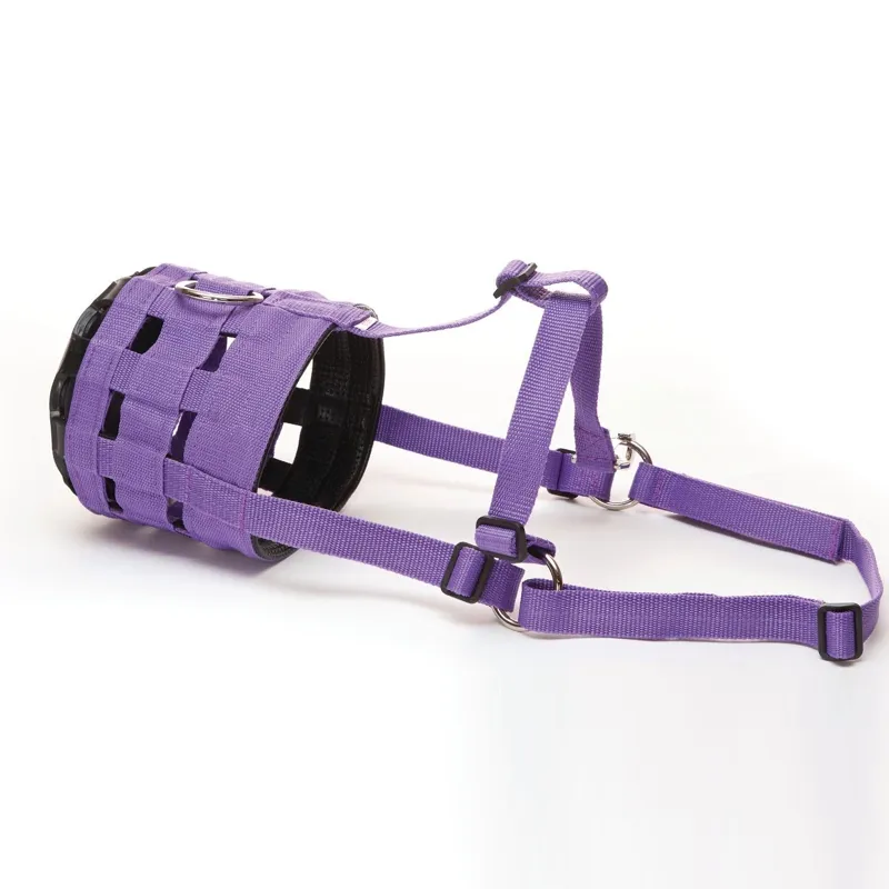Hy Equestrian Muzzle - Purple