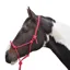 Hy Rope Halter - Red