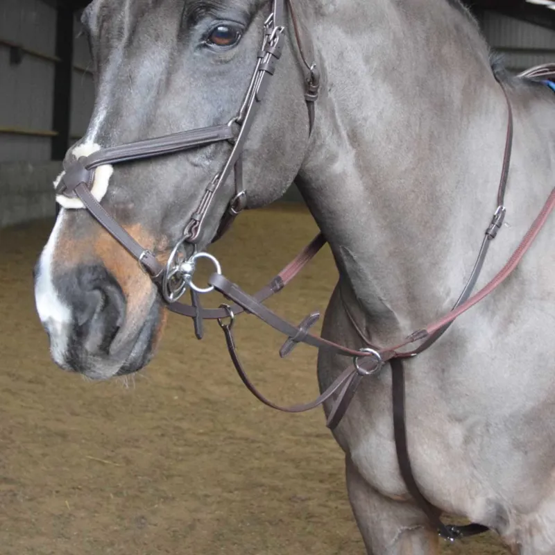 John Whitaker Ready To Ride Martingale - Black
