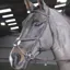 John Whitaker Ready To Ride Mexican Bridle - Brown