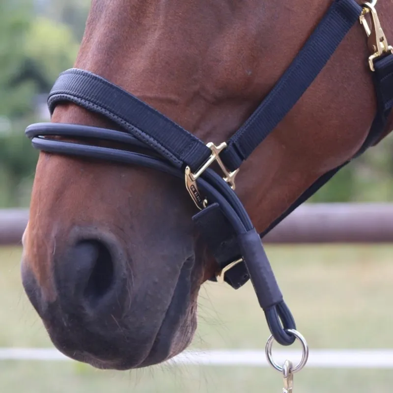 KM ELITE Ezyloader Headcollar Adaptor