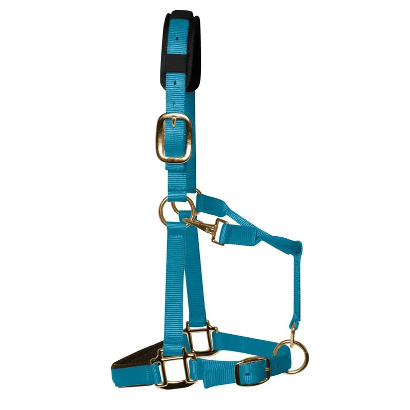 KM Elite Padded Headcollar - Pastel Blue