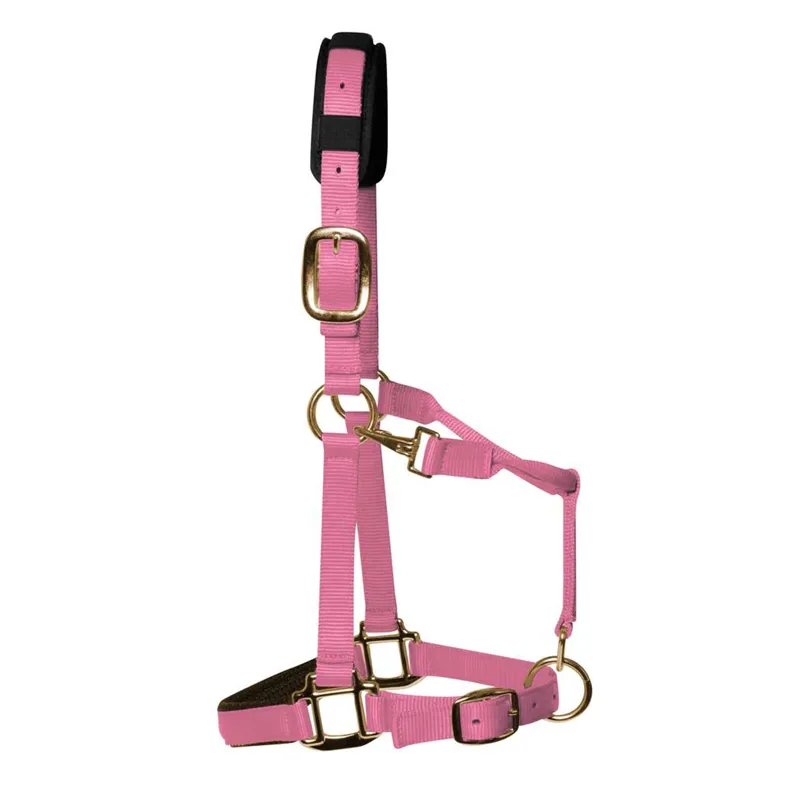 KM Elite Padded Headcollar - Baby Pink