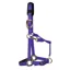 KM Elite Padded Headcollar - Purple