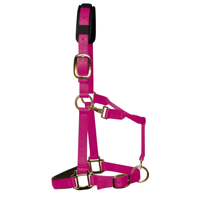 KM Elite Padded Headcollar - Raspberry