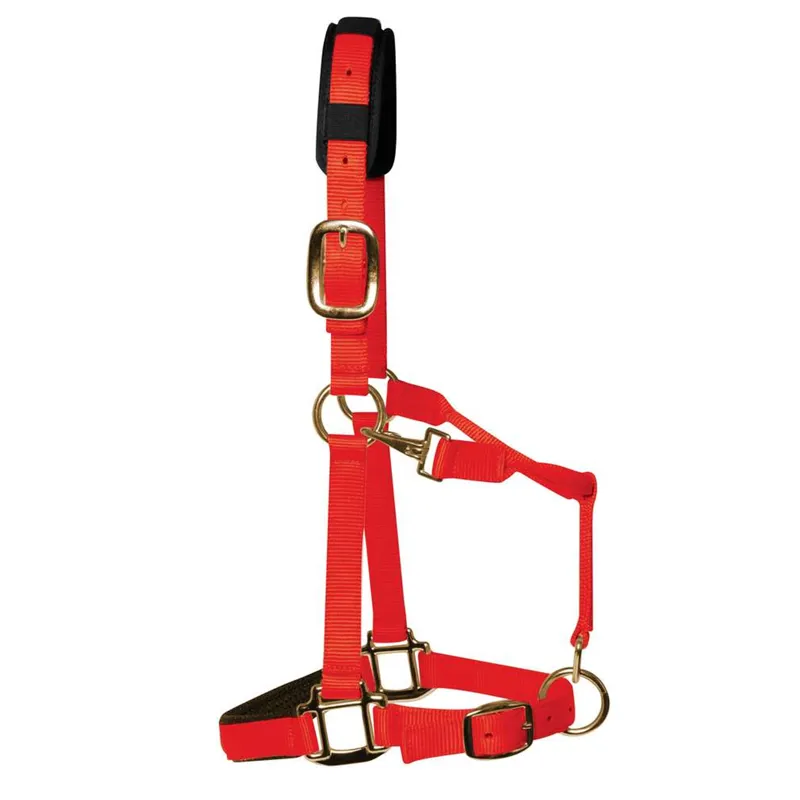 KM Elite Padded Headcollar - Red