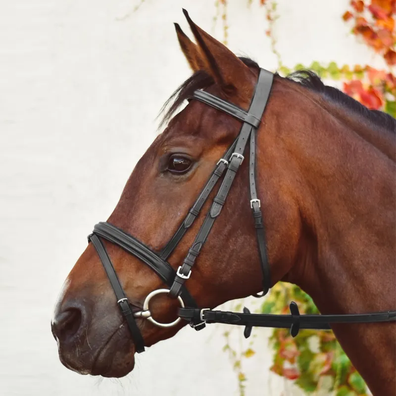 Mackey EquiSential Bridle and Reins - Black
