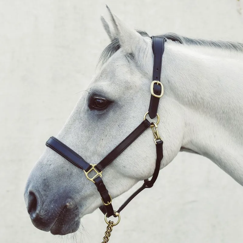 Mackey Legend Helios Headcollar - Brown