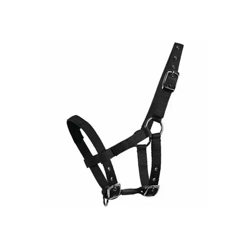 Mackey Mini Shetland Halter - Black