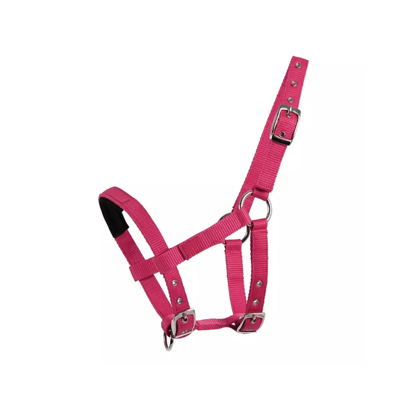 Mackey Mini Shetland Halter - Azalea