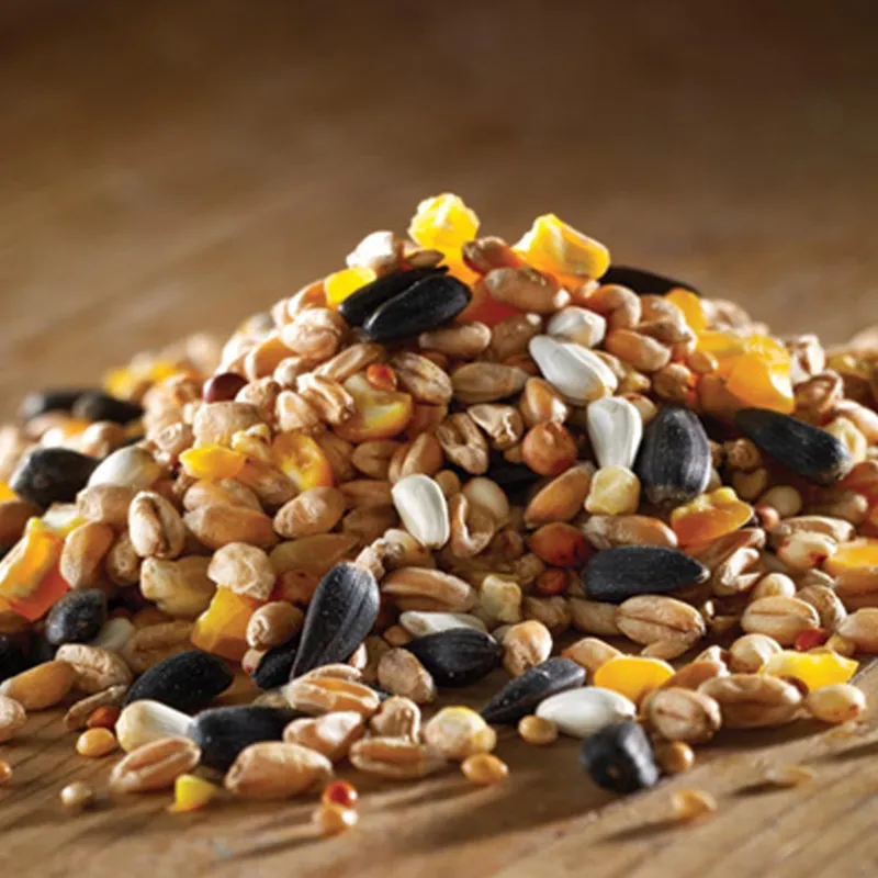 Marriages Berry Traditional Wild Bird Food