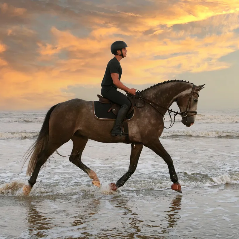 HV Polo Mens Matthew Tech T-Shirt - Black-2