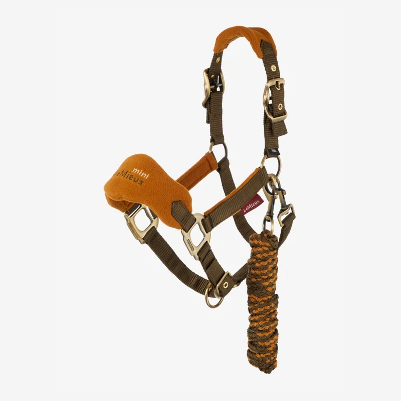 mini-headcollar-alpine-studio.png