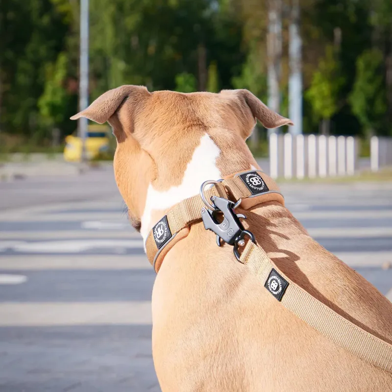 BullyBillows Mini Combat Lead - Military Tan-3