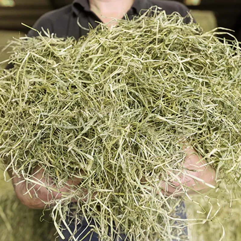 Newhay Timothy Feeding Hay -1