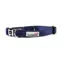 Doodlebone Padded Collar - Cobalt