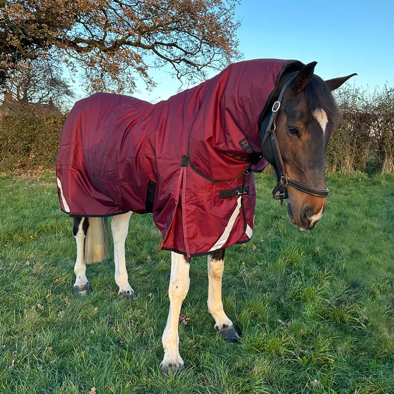 R and R Badminton 200g Turnout Combo Rug-4