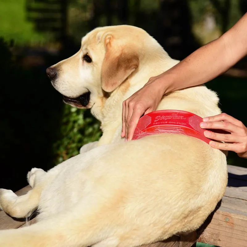 StripHair Gentle Groomer For Dogs and Cats-1