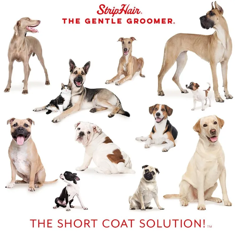 StripHair Gentle Groomer For Dogs and Cats-6