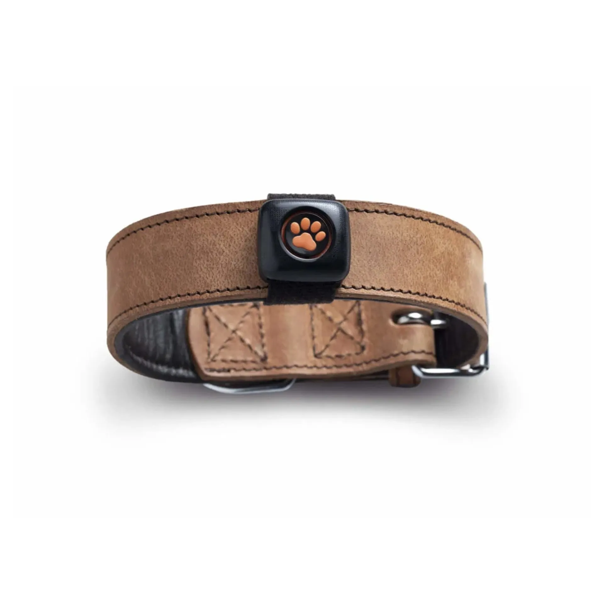 PitPat Dog Activity Monitor