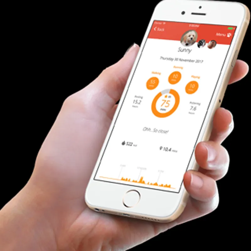 PitPat Dog Activity Monitor-1