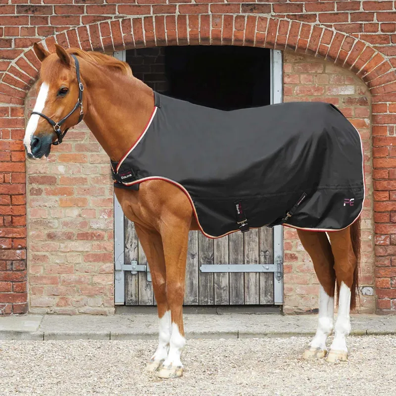 Premier Equine Horse Walker Rug 100g - Black
