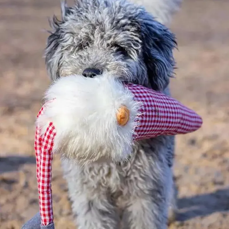 Rosewood Stevie Santa-1