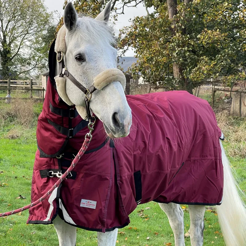 R and R Country 300g Turnout Combo Rug